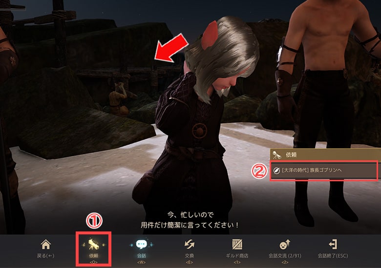 シェルアム・リキ(ギルド管理人からクエスト受注