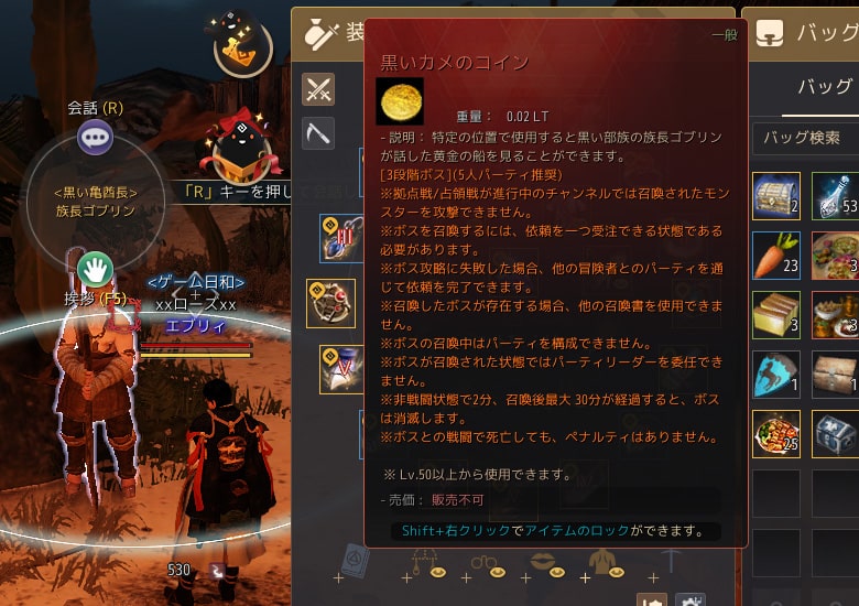 クエスト受注後にアイテム「黒いカメのコイン」を貰える